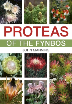 【中古】 Field Guide to Fynbos/PENGUIN RANDOM HOUSE SOUTH AFR/John Manning Field Guide to Fynbos by John Manning | Goodreads